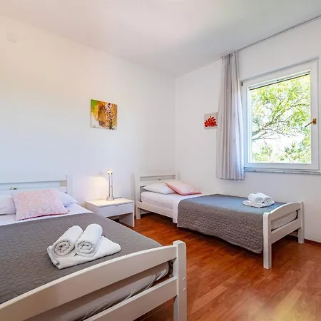 Casa de Férias My Dalmatia - Blanka With Private Infinity Pool