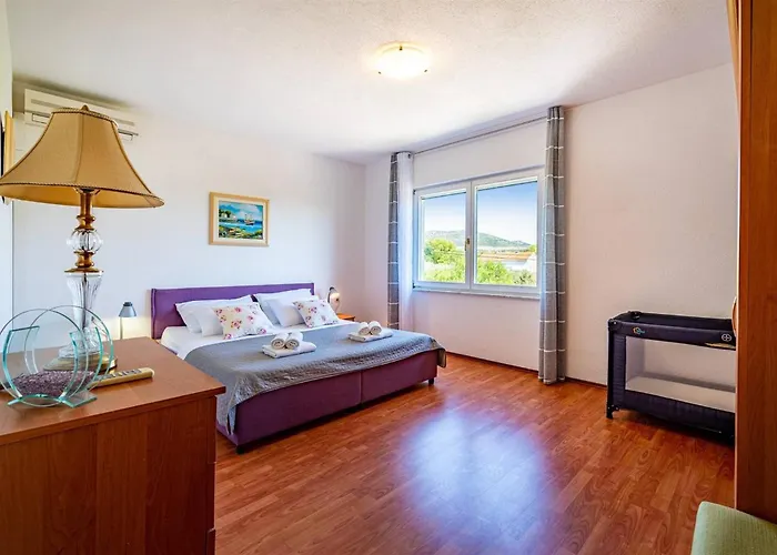 Hébergement de vacances My Dalmatia - Blanka With Private Infinity Pool *